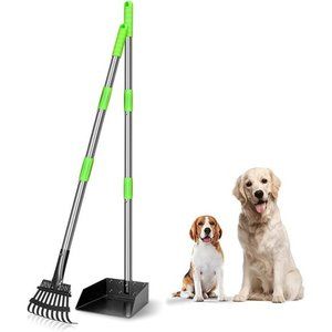 Dog Pooper Scooper Long Handle Stainless Metal Tray and Rake (Green)